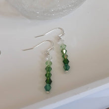 Load image into Gallery viewer, Tami Earrings - Multiple Colours